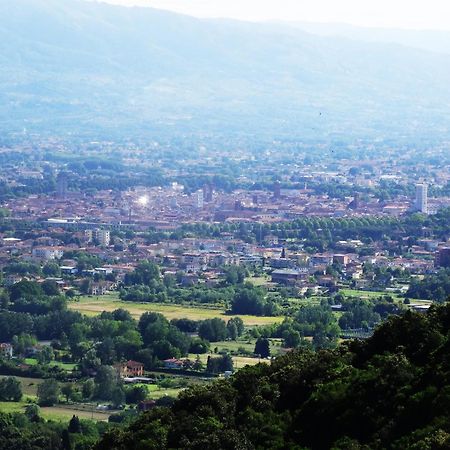 Villetta Farfallina "The Unique Property In The World With An Openable Roof" Lucca Exteriör bild
