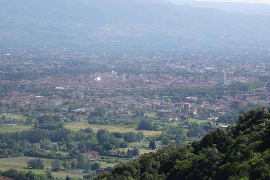 Villetta Farfallina "The Unique Property In The World With An Openable Roof" Lucca Exteriör bild